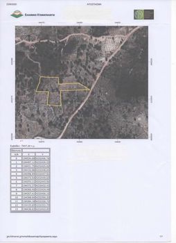 Parcel 6.367sqm for sale-Kefalonia » Argostoli