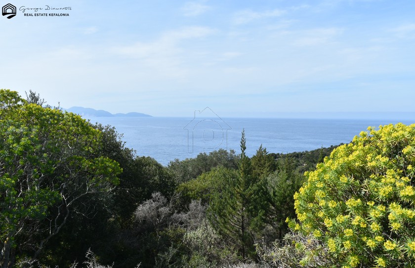 Οικόπεδο 25.600τ.μ. για πώληση-Κεφαλονιά » Έρισος