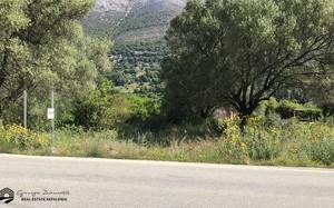 Parcel 1.000 sqm for sale