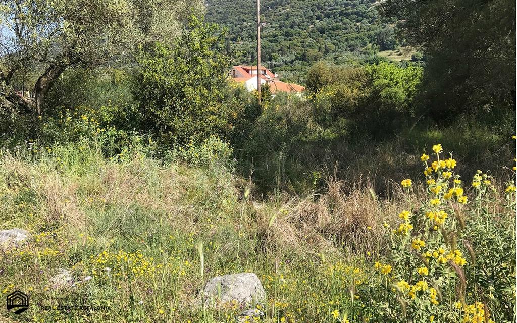 Αγροτεμάχια 1.000 τ.μ. προς πώληση, Πύλαρος