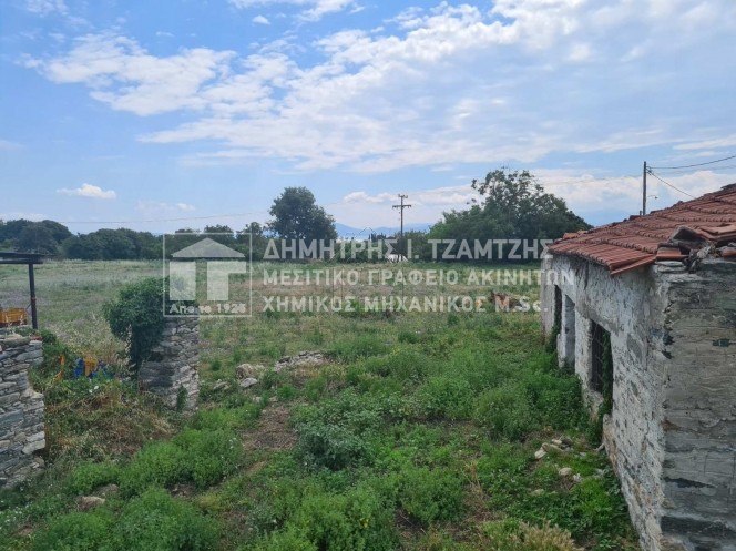 Οικόπεδο 5.050τ.μ. για πώληση-Αρτέμιδα » Κάτω λεχώνια