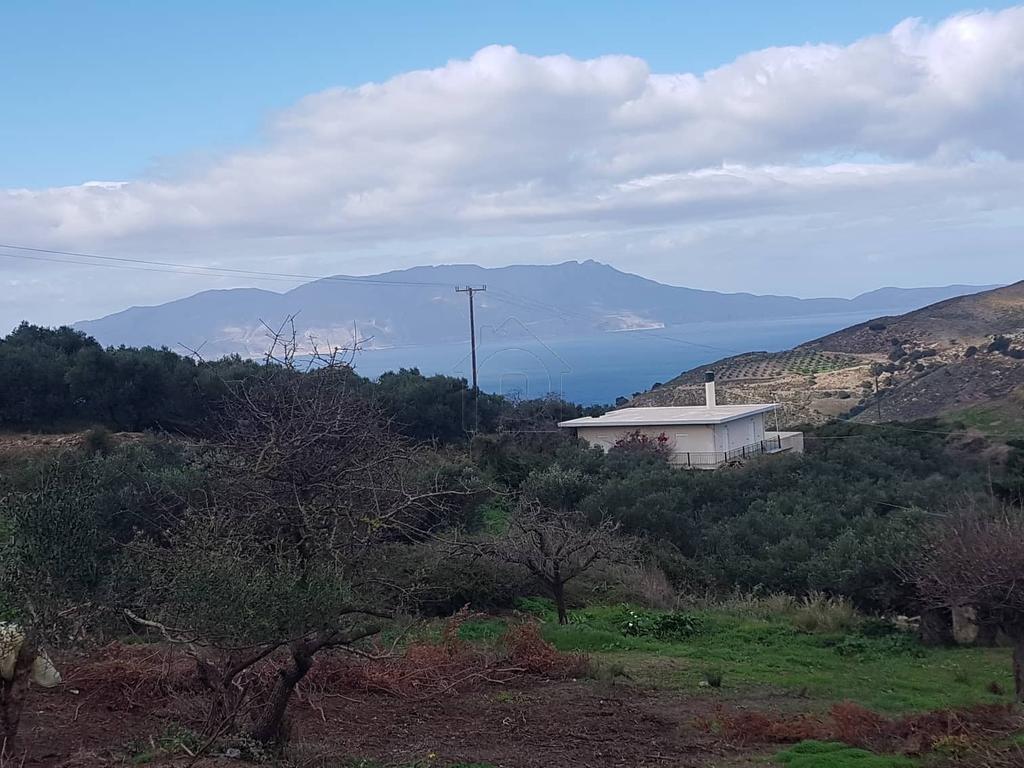 Οικόπεδο 1.000 τ.μ. προς πώληση, Πλακάλωνα