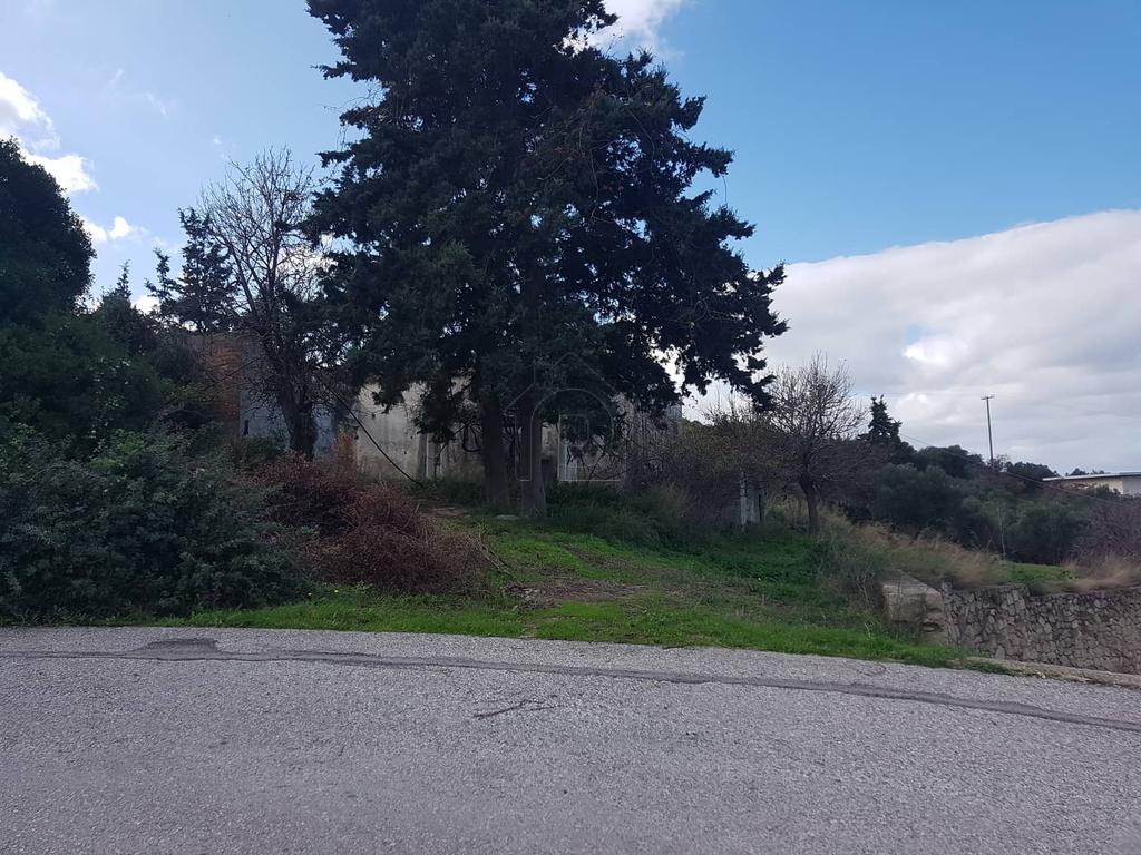 Οικόπεδο 1.000 τ.μ. προς πώληση, Πλακάλωνα