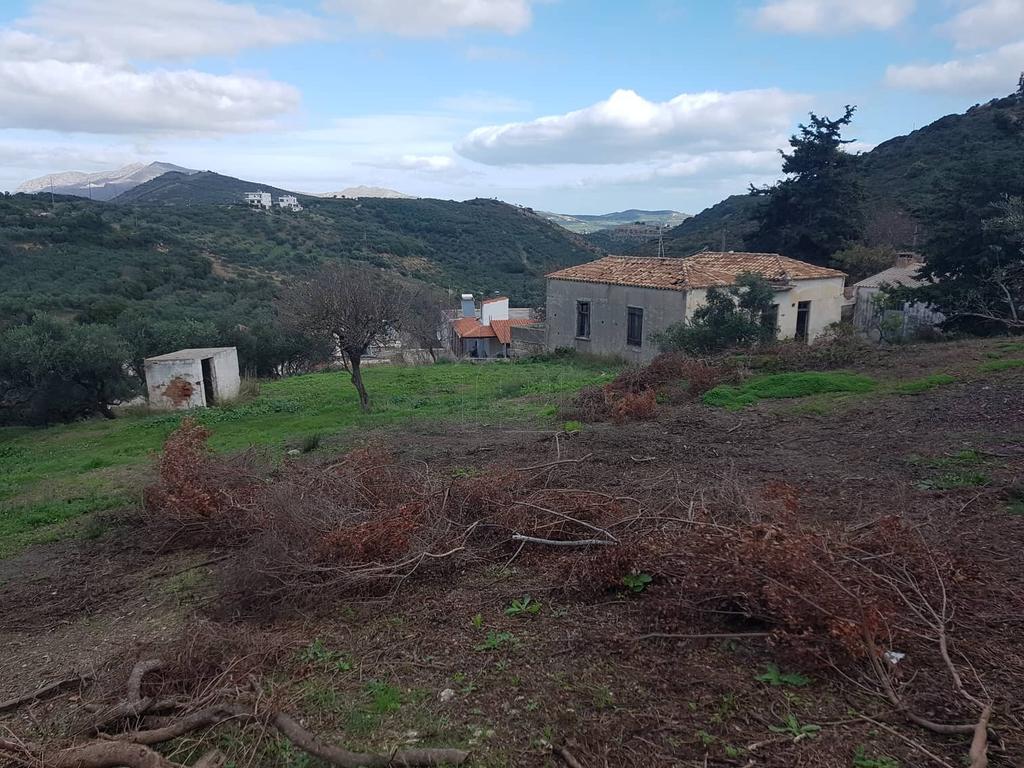 Οικόπεδο 1.000 τ.μ. προς πώληση, Πλακάλωνα