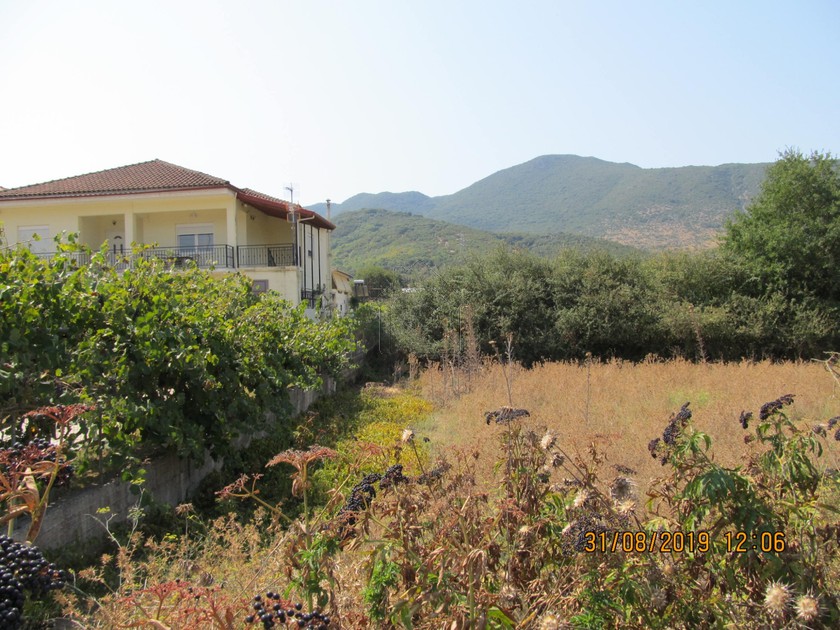 Αγροτεμάχια 9.000 τ.μ. για πώληση