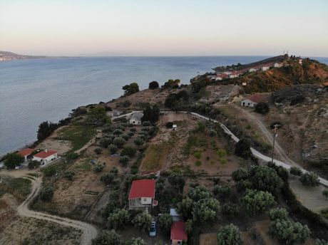 Parcel 12.800sqm for sale-Kefalonia » Paliki