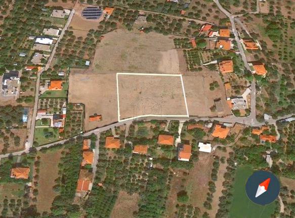 Land plot 6.000 sqm for sale, Aetolia & Acarnania, Navpaktos