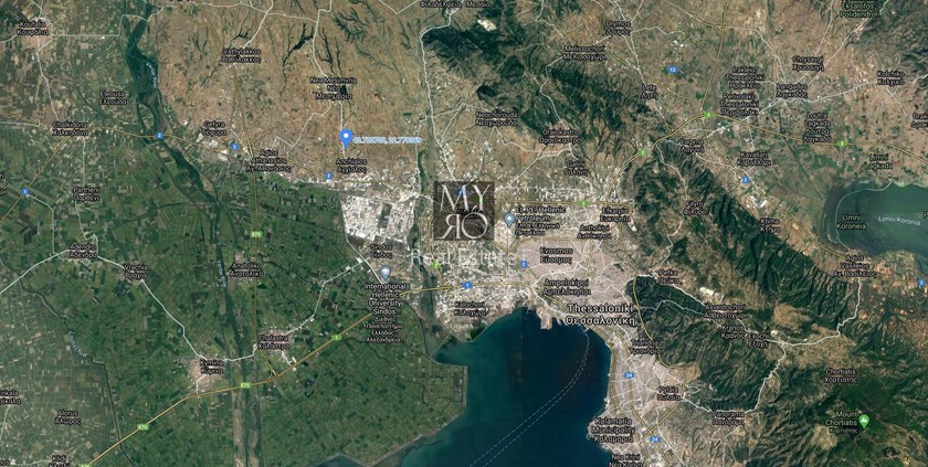 Αγροτεμάχια 4.000 τ.μ. για πώληση
