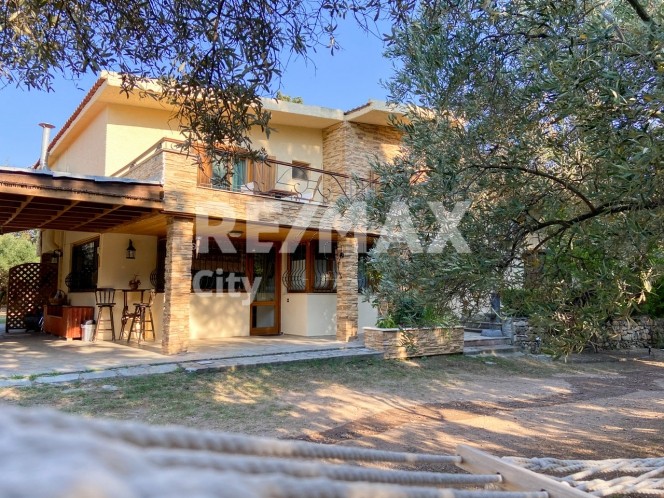 Άλλο 140τ.μ. για ενοικίαση-Αλεξανδρούπολη » Δίκελλα