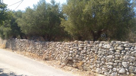 Land plot 16.364sqm for sale-Kefalonia » Leivatho