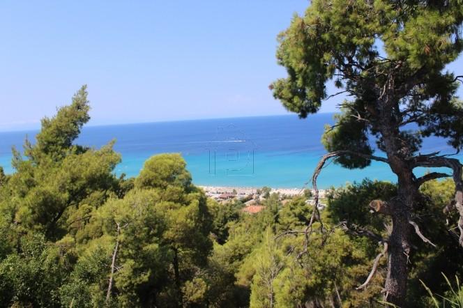 Μεζονέτα 400 τ.μ. πρός πώληση, Χαλκιδική, Κασσάνδρα