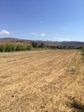 Οικόπεδο 8.500 τ.μ. για πώληση, Ν. Λέσβου, Λέσβος - Ερεσός-thumb-7