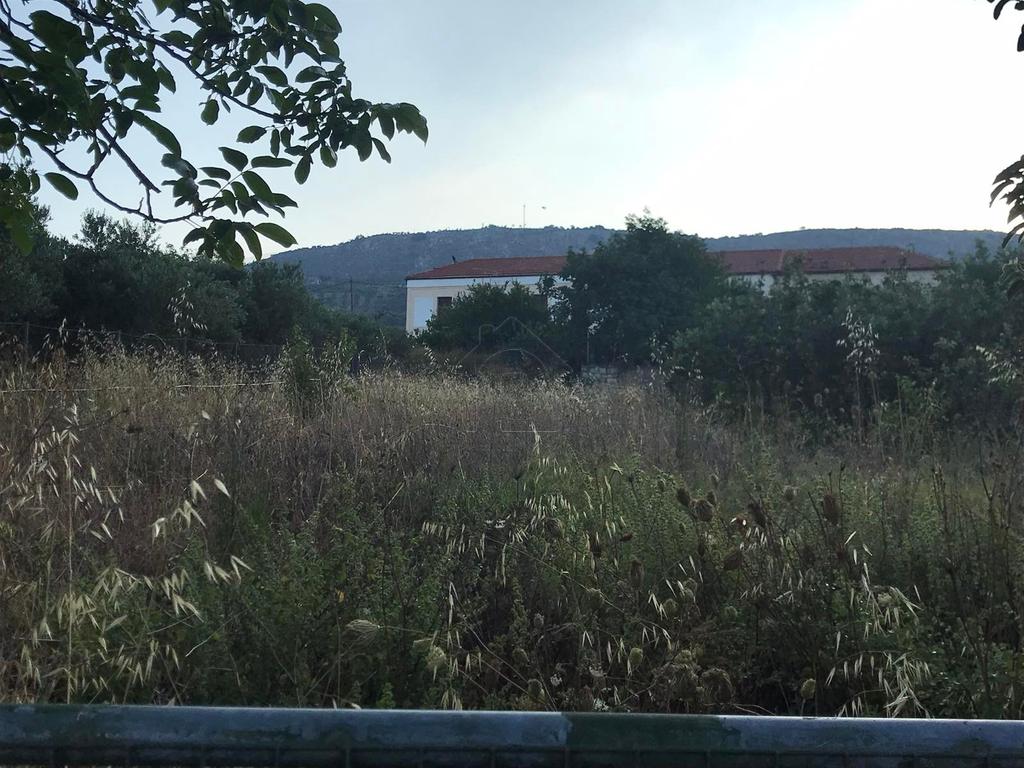 Οικόπεδο 470 τ.μ. προς πώληση, Κερασιά Τετραχωρίου