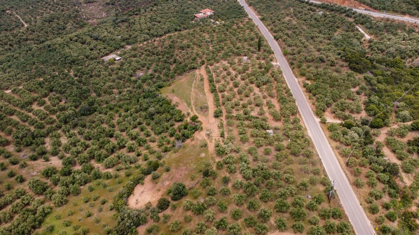 Land plot 11.500 sqm for sale, Messinia, Gargalianoi