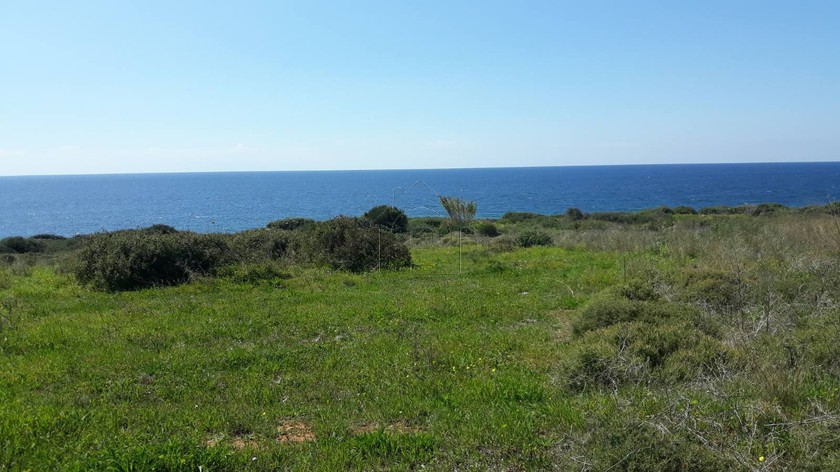 Οικόπεδο 9.565τ.μ. για πώληση-Γαργαλιάνοι » Βρομονέρι