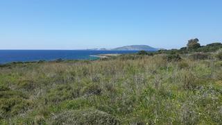 Οικόπεδο 9.565 τ.μ. για πώληση, Μεσσηνία, Γαργαλιάνοι-thumb-1