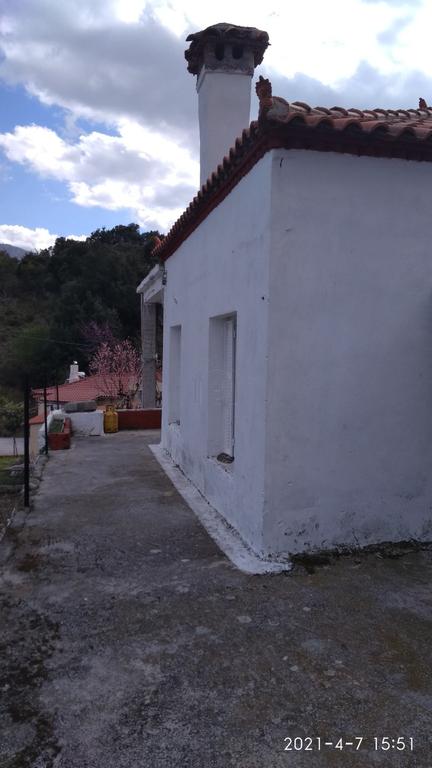 Μονοκατοικία 2.200 τ.μ. προς πώληση, Λάμαρη