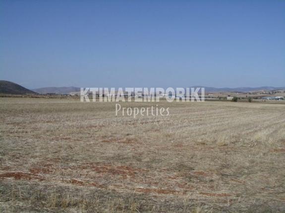 Αγροτεμάχια 50.000 τ.μ. για πώληση, Βοιωτία, Θήβα