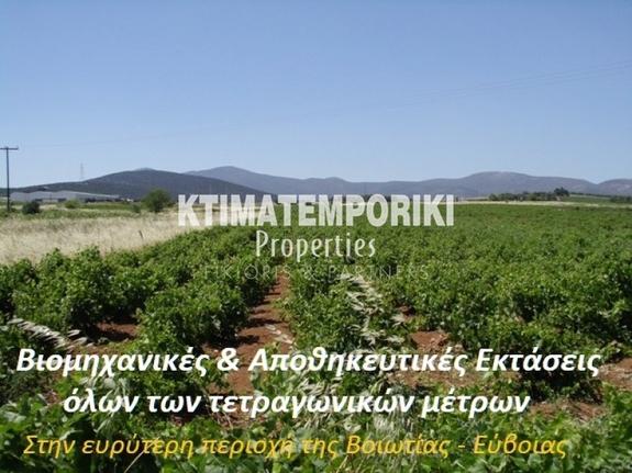 Αγροτεμάχια 8.000 τ.μ. για πώληση, Βοιωτία, Σχηματάρι