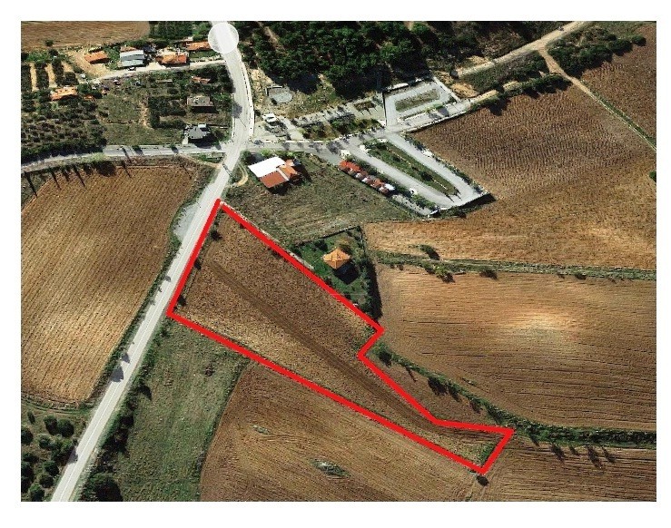 Αγροτεμάχια 8.125 τ.μ. για πώληση