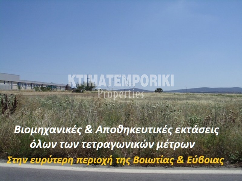 Αγροτεμάχια 10.000 τ.μ. για πώληση