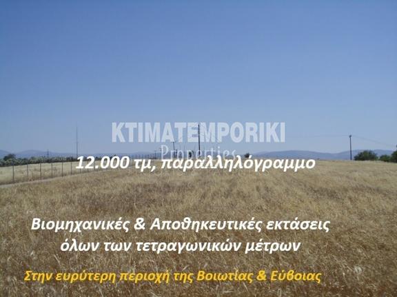 Αγροτεμάχια 12.000 τ.μ. για πώληση, Βοιωτία, Σχηματάρι
