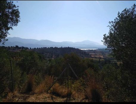 Parcel 4.746sqm for sale-Kefalonia » Paliki
