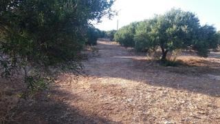 Κτίριο 231 τ.μ. για πώληση, Ν. Λασιθίου, Σητεία-thumb-17