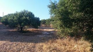 Κτίριο 231 τ.μ. για πώληση, Ν. Λασιθίου, Σητεία-thumb-18