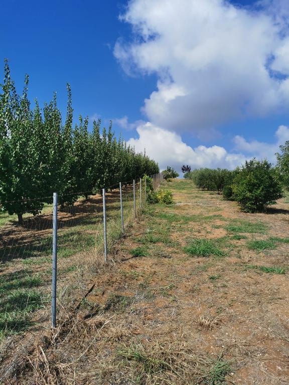 Αγροτεμάχια 4.650 τ.μ. προς πώληση, Κέντρο Μεθώνης Πιερίας