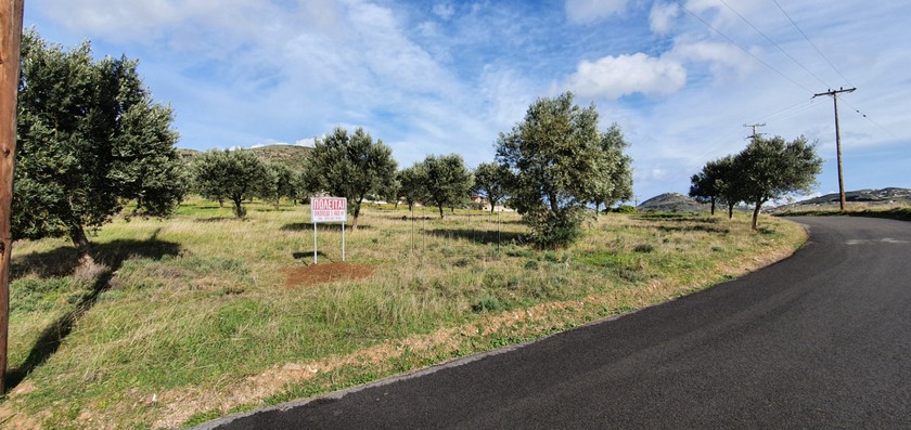 Land plot 5.460 sqm for sale, Rest Of Attica, Keratea