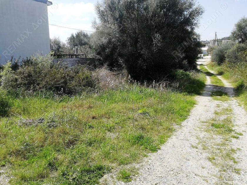 Οικόπεδο 267τ.μ. για πώληση-Νέα αγχίαλος » Κριθαριά