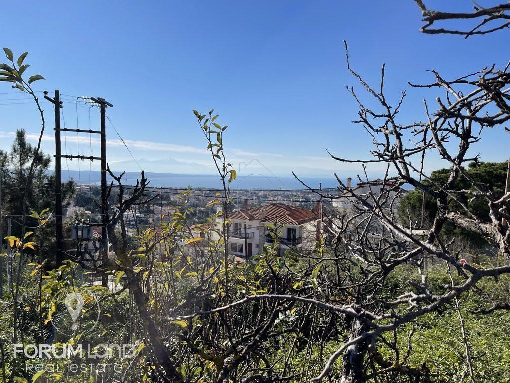 Οικόπεδο 1.000 τ.μ. προς πώληση, Θεσσαλονίκη - Περιφ/Κοί Δήμοι, Πανόραμα