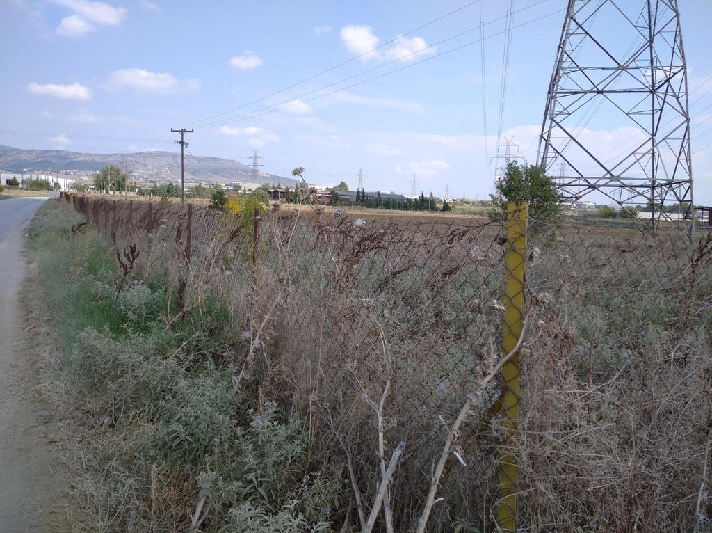 Αγροτεμάχια 2.000 τ.μ. προς πώληση, Νεοχωρούδα