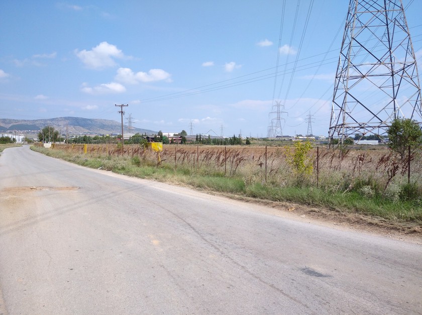 Αγροτεμάχια 2.000 τ.μ. προς πώληση