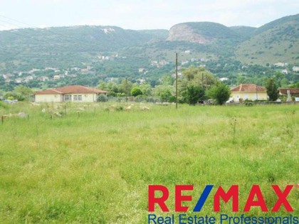 Land plot 1.480sqm for sale-Ioannina » Kardamitsia