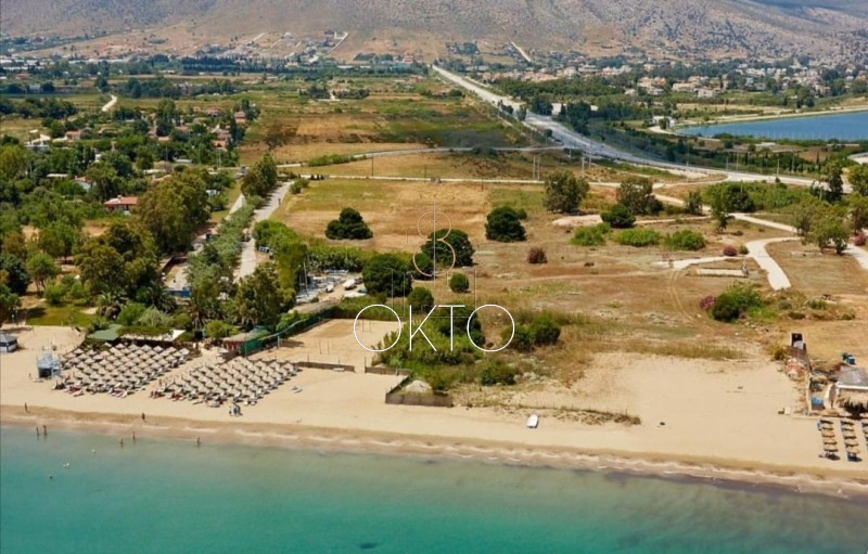 Αγροτεμάχια 70.000τ.μ. για πώληση-Αποδοτία » Σέλλος