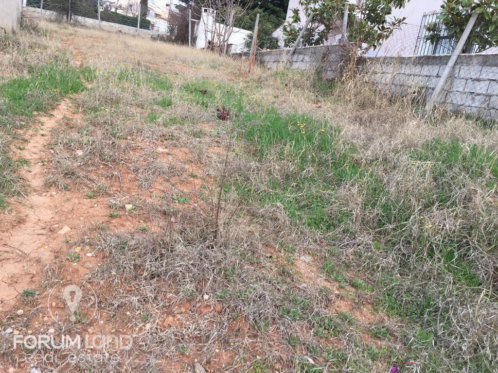 Land plot 750 sqm for sale, Oikismos Makedonia
