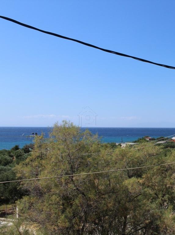 Οικόπεδο 1.500 τ.μ. πρός πώληση, Χαλκιδική, Παλλήνη