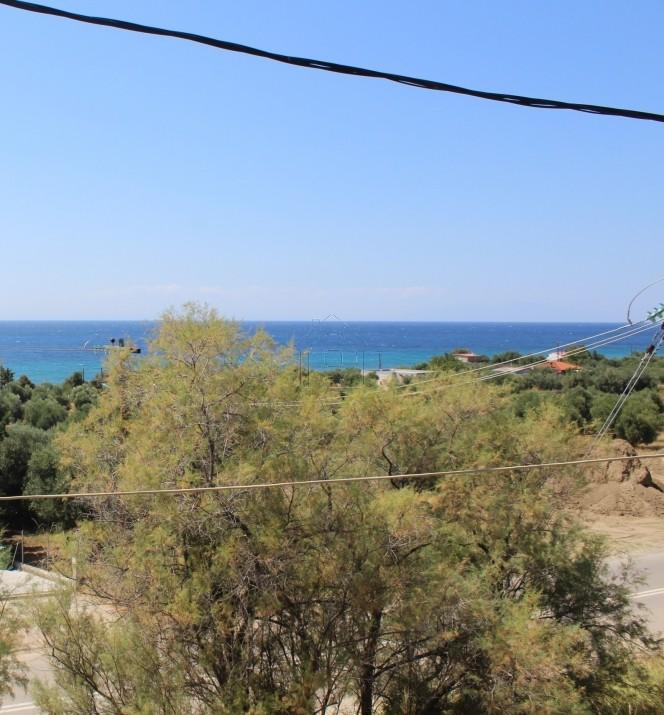 Οικόπεδο 1.500 τ.μ. πρός πώληση, Χαλκιδική, Παλλήνη
