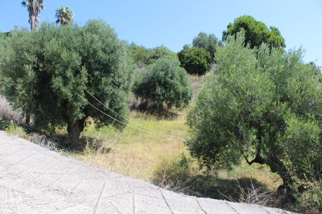 Οικόπεδο 1.500 τ.μ. πρός πώληση, Χαλκιδική, Παλλήνη