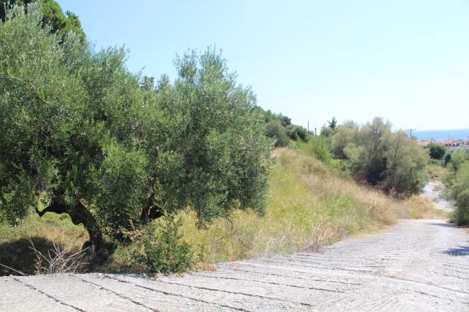 Οικόπεδο 1.500 τ.μ. πρός πώληση, Χαλκιδική, Παλλήνη