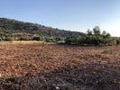 Parcel 3.500sqm for sale-Kefalonia » Argostoli