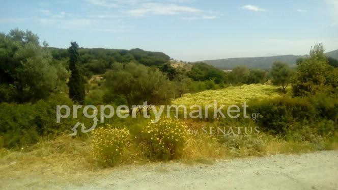 Αγροτεμάχια 4.000τ.μ. για πώληση-Ρέθυμνο » Χρομοναστήρι