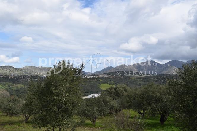 Οικόπεδο 4.770 τ.μ. για πώληση