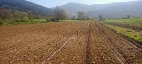 Αγροτεμάχια 40.000 τ.μ. πρός πώληση, Ν. Πιερίας, Κολινδρός