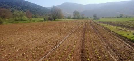 Αγροτεμάχια 40.000τ.μ. για πώληση-Κολινδρός » Λιβάδι