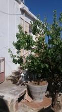 Μεζονέτα 83 τ.μ. για πώληση, Ν. Λασιθίου, Σητεία-thumb-11