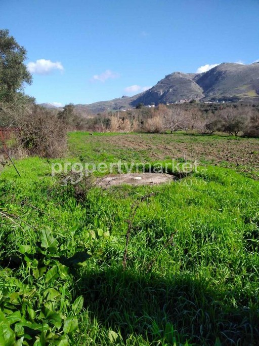 Αγροτεμάχια 2.800 τ.μ. για πώληση