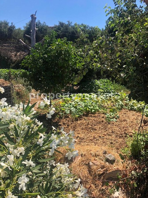 Detached home 75 sqm for sale
